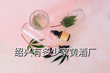 紹興有多少家黃酒廠