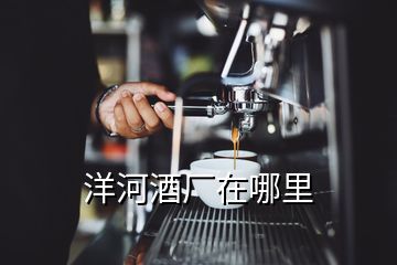 洋河酒廠在哪里