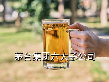 茅臺(tái)集團(tuán)六大子公司