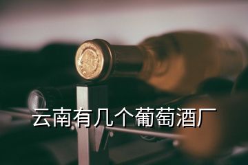 云南有幾個葡萄酒廠