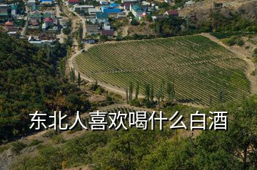 東北人喜歡喝什么白酒