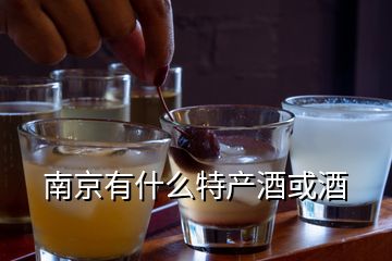 南京有什么特產(chǎn)酒或酒