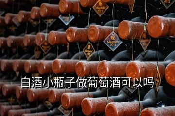 白酒小瓶子做葡萄酒可以嗎