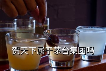 賀天下屬于茅臺集團嗎