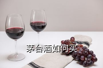 茅臺(tái)酒如何買