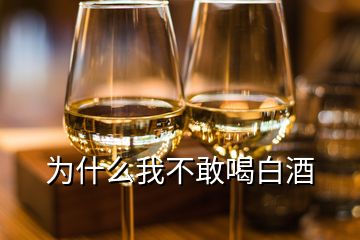 為什么我不敢喝白酒