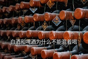 白酒和啤酒為什么不能混著喝