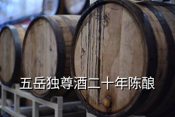 五岳獨尊酒二十年陳釀