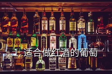 1. 適合做紅酒的葡萄