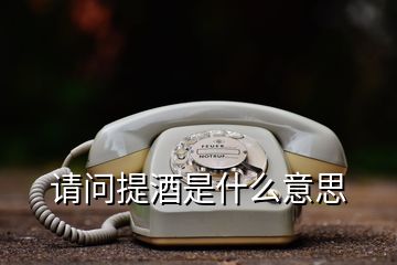 請問提酒是什么意思