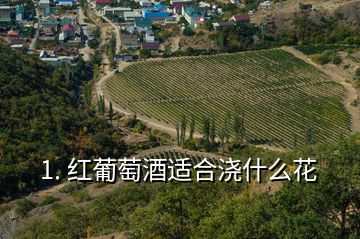 1. 紅葡萄酒適合澆什么花