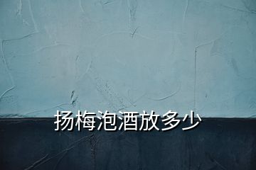 揚(yáng)梅泡酒放多少