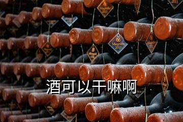 酒可以干嘛啊