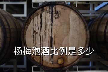 楊梅泡酒比例是多少