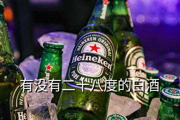 有沒有二十八度的白酒