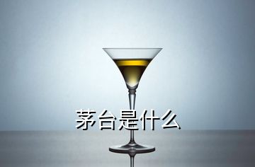 茅臺是什么