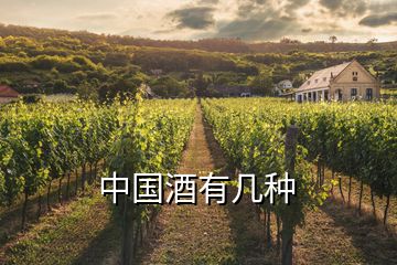 中國(guó)酒有幾種