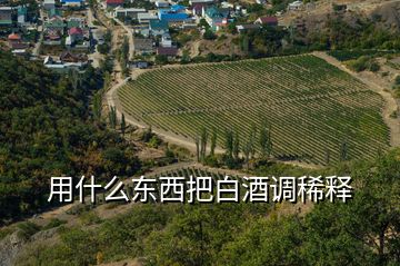 用什么東西把白酒調稀釋