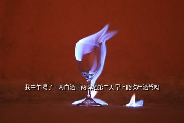 我中午喝了三兩白酒三兩啤酒第二天早上能吹出酒駕嗎