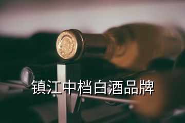 鎮(zhèn)江中檔白酒品牌