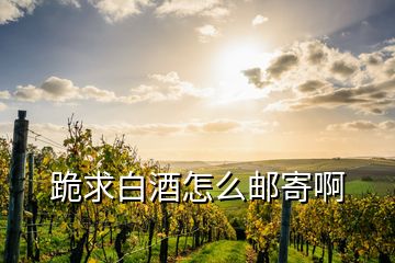 跪求白酒怎么郵寄啊