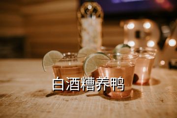 白酒糟養(yǎng)鴨