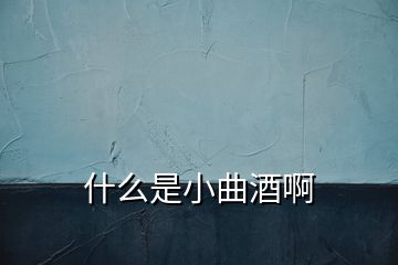 什么是小曲酒啊