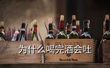 為什么喝完酒會(huì)吐