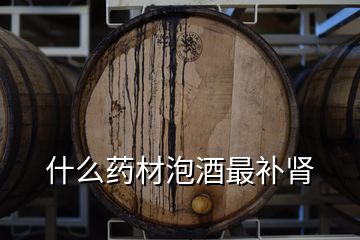 什么藥材泡酒最補腎