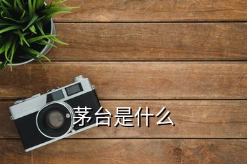 茅臺(tái)是什么