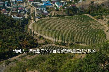 請(qǐng)問八十年代出產(chǎn)的茅臺(tái)酒是塑料瓶蓋還是鐵的