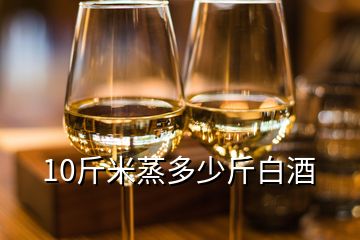 10斤米蒸多少斤白酒