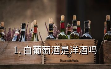 1. 白葡萄酒是洋酒嗎