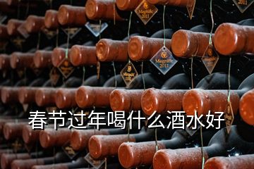 春節(jié)過(guò)年喝什么酒水好