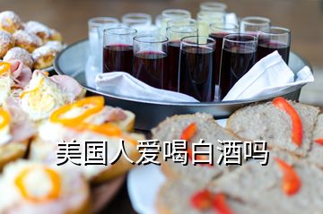 美國(guó)人愛喝白酒嗎