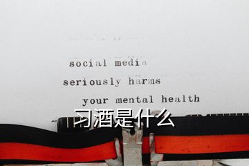 習(xí)酒是什么