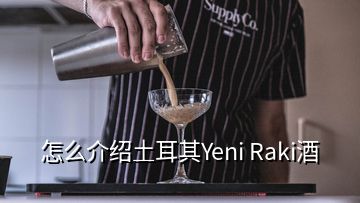 怎么介紹土耳其Yeni Raki酒