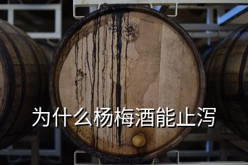 為什么楊梅酒能止瀉