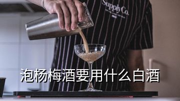 泡楊梅酒要用什么白酒