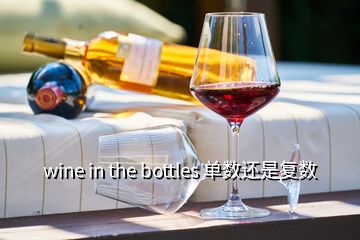 wine in the bottles 單數(shù)還是復(fù)數(shù)