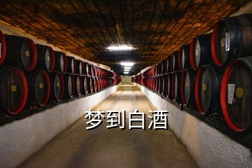 夢(mèng)到白酒