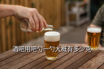 酒吧用吧勺一勺大概有多少克