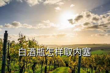 白酒瓶怎樣取內塞