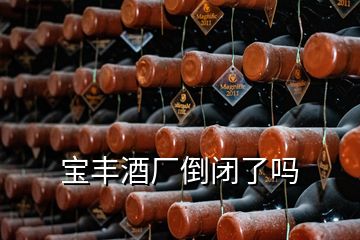 寶豐酒廠倒閉了嗎