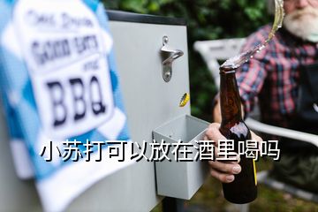 小蘇打可以放在酒里喝嗎