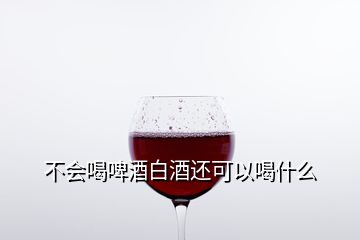 不會喝啤酒白酒還可以喝什么