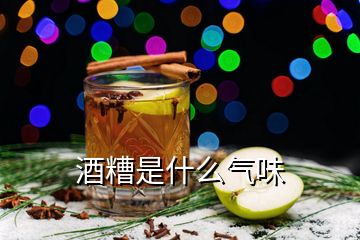 酒糟是什么氣味