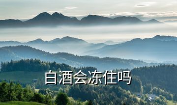 白酒會(huì)凍住嗎