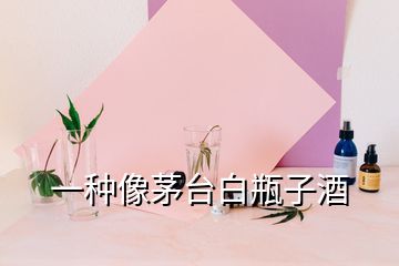 一種像茅臺(tái)白瓶子酒