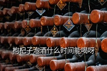 枸杞子泡酒什么時間能喝呀